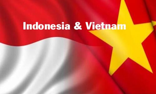 Việt Nam-Indonesia thúc đẩy mạnh mẽ hơn nữa hợp tác song phương