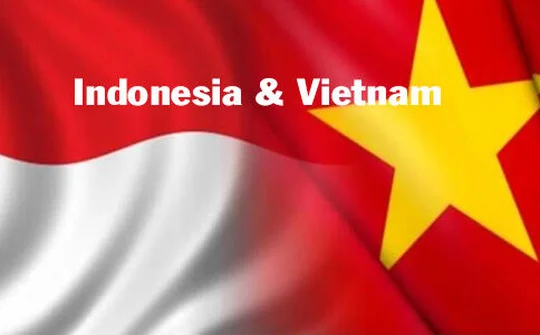Việt Nam-Indonesia thúc đẩy mạnh mẽ hơn nữa hợp tác song phương