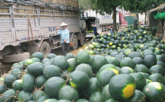 Giải pháp hạn chế tình trạng nông sản ùn ứ tại cửa khẩu