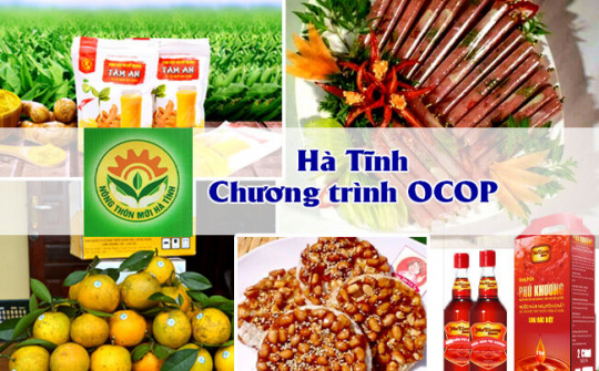 Chương trình OCOP Hà Tĩnh - Những thành quả bước đầu đáng trân trọng