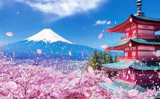 Nhật Bản thay đổi chính sách tiếp nhận lao động nước ngoài