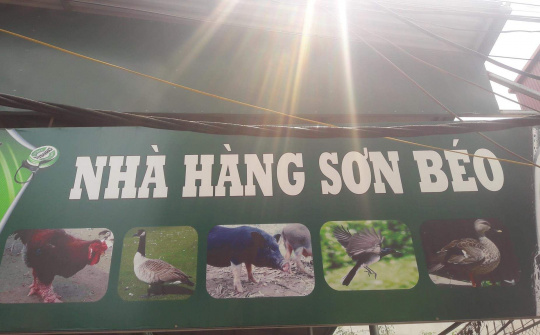 Nhà hàng Ẩm thực Sơn béo - Địa điểm ăn uống hấp dẫn trong lòng phố Hà Nội