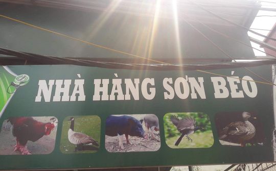 Nhà hàng Ẩm thực Sơn béo - Địa điểm ăn uống hấp dẫn trong lòng phố Hà Nội