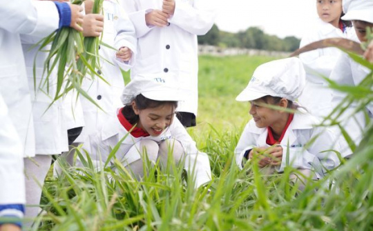 Một ngày trải nghiệm vui vẻ của các em nhỏ tại trang trại bò sữa organic TH