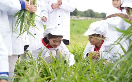 Một ngày trải nghiệm vui vẻ của các em nhỏ tại trang trại bò sữa organic TH