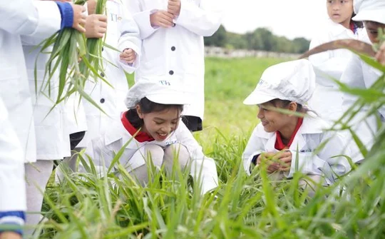 Một ngày trải nghiệm vui vẻ của các em nhỏ tại trang trại bò sữa organic TH