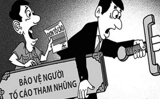 Bảo vệ vị trí công tác của người tố cáo là cán bộ, công chức, viên chức