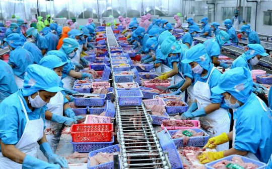 Điểm sáng của nông nghiệp năm 2019 - Ngành Thủy sản cất cánh