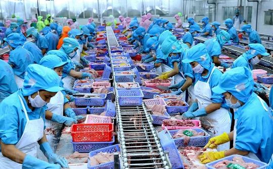 Điểm sáng của nông nghiệp năm 2019 - Ngành Thủy sản cất cánh