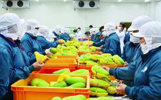 Năm 2019 đạt mức kỷ lục với 138,1 nghìn doanh nghiệp thành lập mới