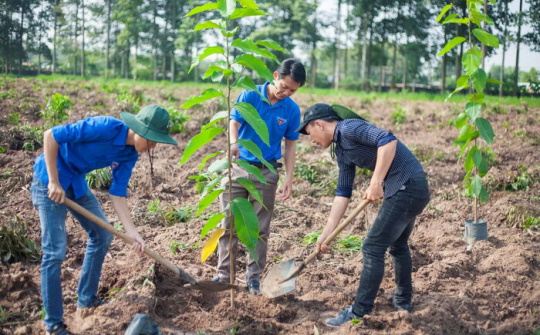 Muốn phát triển bền vững phải gắn với môi trường