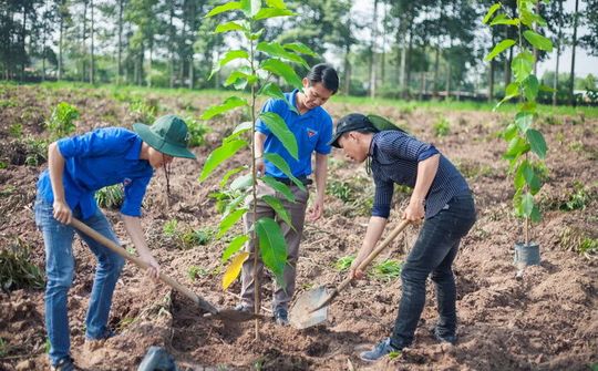 Muốn phát triển bền vững phải gắn với môi trường