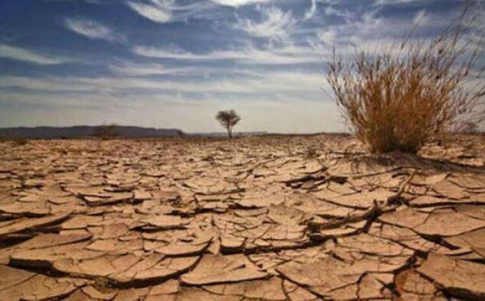 Châu Á thiệt hại vì biến đổi khí hậu