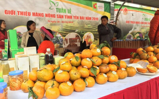 OCOP: Giải pháp hiệu quả trong phát triển kinh tế nông thôn ở Yên Bái