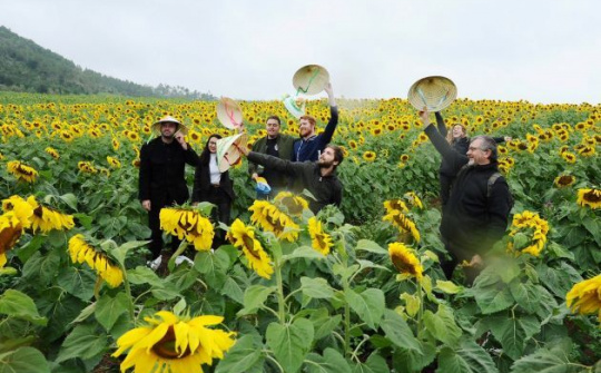 “Bí mật” ở cánh đồng hoa hướng dương của Tập đoàn TH