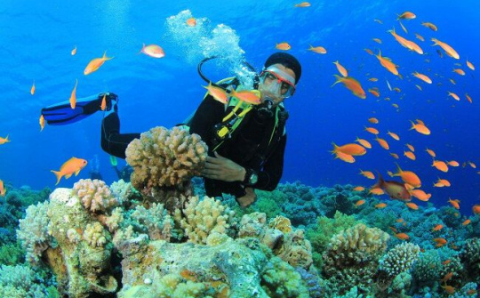 Quyền và nghĩa vụ khi tiến hành nghiên cứu khoa học trong vùng biển Việt Nam