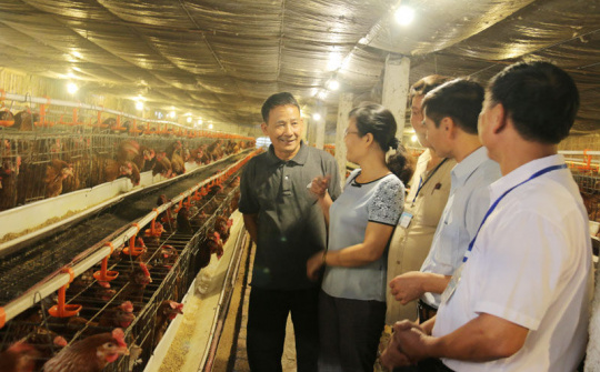 Thị xã Từ Sơn, Bắc Ninh đẩy mạnh chuyển giao khoa học kỹ thuật