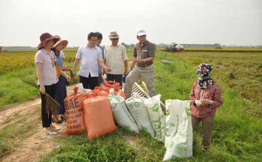 Phụ nữ Bắc Ninh hợp tác làm kinh tế