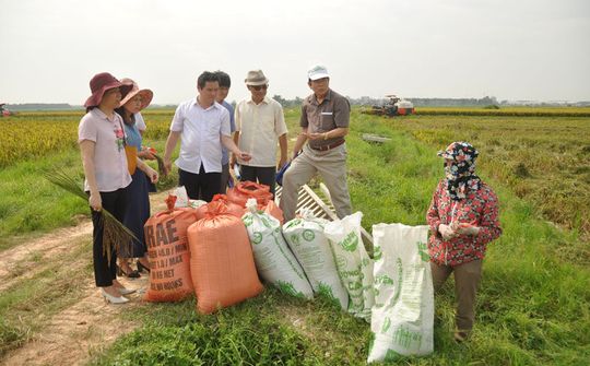 Phụ nữ Bắc Ninh hợp tác làm kinh tế