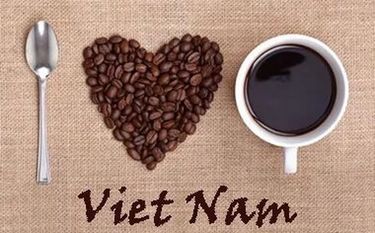 Phát triển bền vững ngành Cà phê Việt Nam