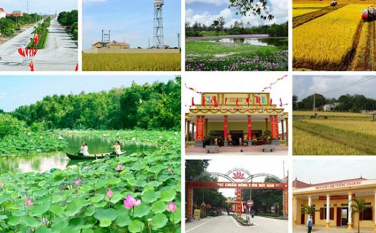 Xây dựng bộ tiêu chí môi trường trong xây dựng nông thôn mới
