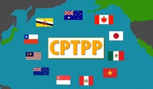 Nắm bắt và chủ động để tăng xuất khẩu vào CPTPP