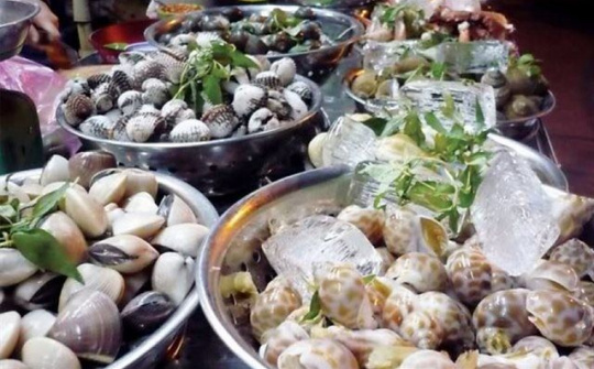 Nghêu, sò Việt Nam được chuộng tại châu Âu