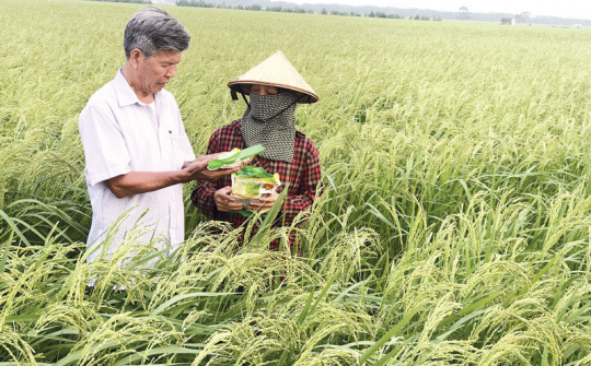 Những nông dân kiểu mới ở Bắc Ninh