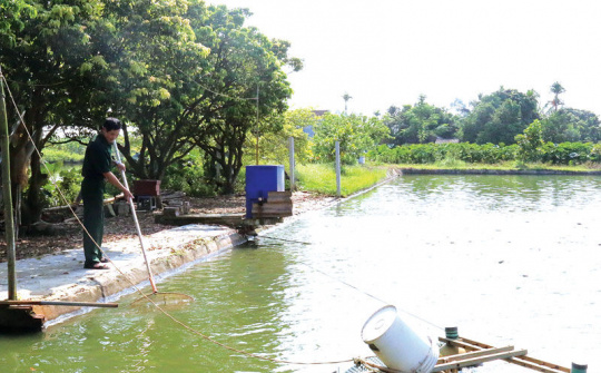 Lương Tài, Bắc Ninh: Gương CCB làm giàu từ nghề nuôi cá