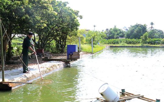 Lương Tài, Bắc Ninh: Gương CCB làm giàu từ nghề nuôi cá