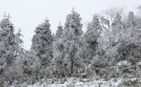 Đông về với Sa Pa