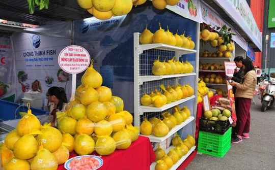 Tuần lễ nông sản, thực phẩm tỉnh Hòa Bình tại hệ thống Co.opmart