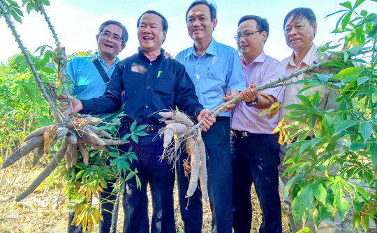 Từ câu chuyện “Xấu dây - Tốt củ” đến “Biến đất nở hoa”