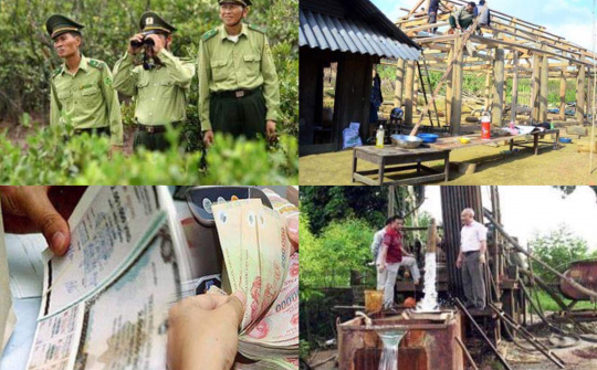 Chỉ đạo, điều hành của Chính phủ, Thủ tướng Chính phủ tháng 1/2019 và chính sách mới có hiệu lực từ 2/2019