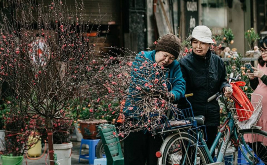 Dự báo thời tiết 1/2: Miền Bắc đón không khí lạnh trước Tết Nguyên đán Kỷ Hợi