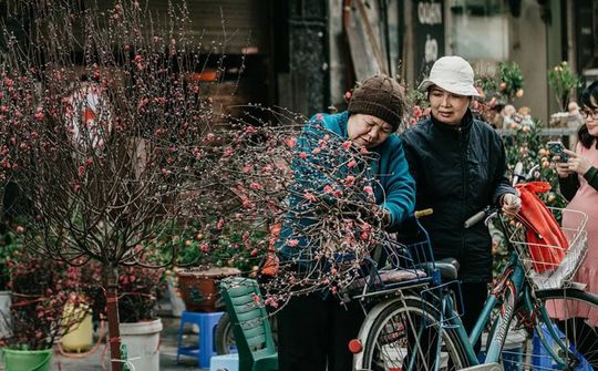 Dự báo thời tiết 1/2: Miền Bắc đón không khí lạnh trước Tết Nguyên đán Kỷ Hợi