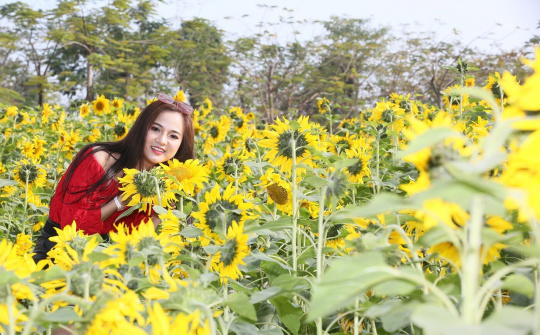 Lễ hội hoa xuân Sun World Halong Complex: Nét văn hóa duyên dáng từ miền biển