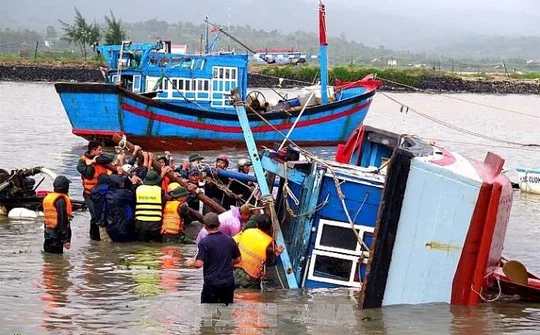 Cung ứng dịch vụ truyền hình tuyên truyền về đối ngoại, phòng, chống thiên tai