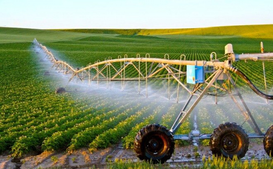 Nông nghiệp trong dòng chảy hội nhập