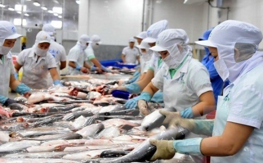 Seafood exports rake in about US$9 billion in 2018