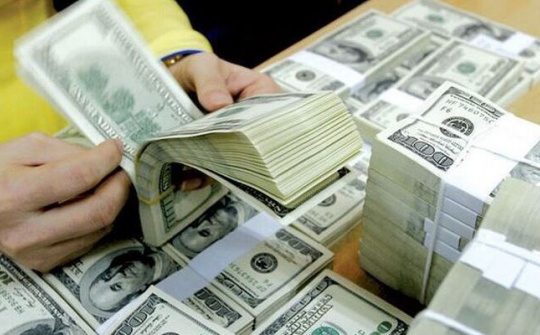 Việt Nam 'rót' 1,25 triệu USD đầu tư ra nước ngoài trong tháng 1/2019