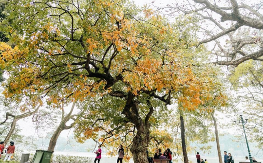 Dự báo thời tiết 16/2: Hà Nội trời nắng đẹp