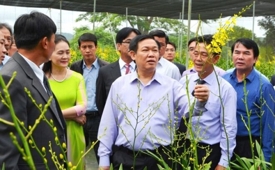 Tổng kết công tác đổi mới, phát triển kinh tế tập thể
