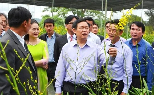 Tổng kết công tác đổi mới, phát triển kinh tế tập thể