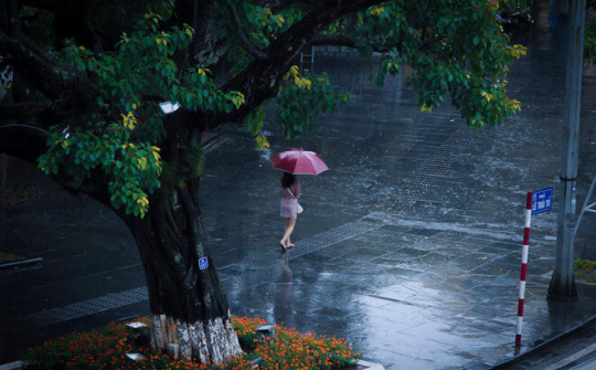 Dự báo thời tiết 17/2: Miền Bắc có mưa rào và dông, trời chuyển lạnh