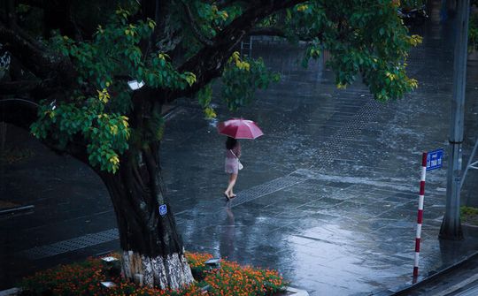 Dự báo thời tiết 17/2: Miền Bắc có mưa rào và dông, trời chuyển lạnh