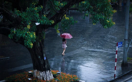 Dự báo thời tiết 17/2: Miền Bắc có mưa rào và dông, trời chuyển lạnh