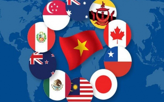 Hiệp định CPTPP: Không hiểu sâu, khó đứng vững