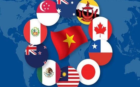 Hiệp định CPTPP: Không hiểu sâu, khó đứng vững