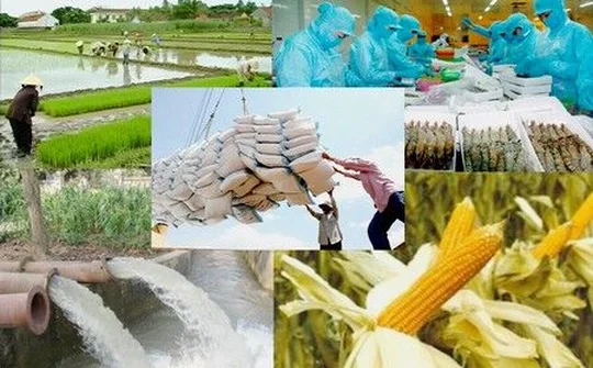 Bãi bỏ 82 thủ tục hành chính lĩnh vực nông nghiệp và phát triển nông thôn